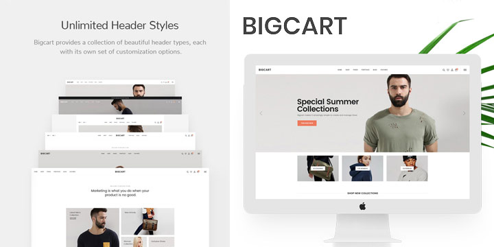 Bigcart-Clean-Modern-WordPress-Theme-for-WooCommerce