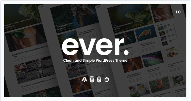 Ever Clean and Simple WordPress Theme