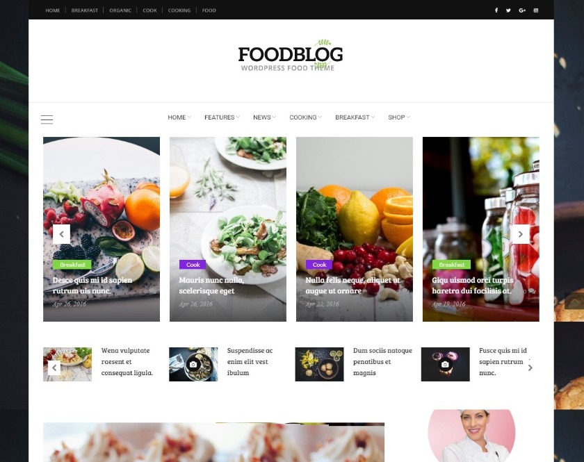 FoodBlog Individual Blog and Magazine WordPress Theme