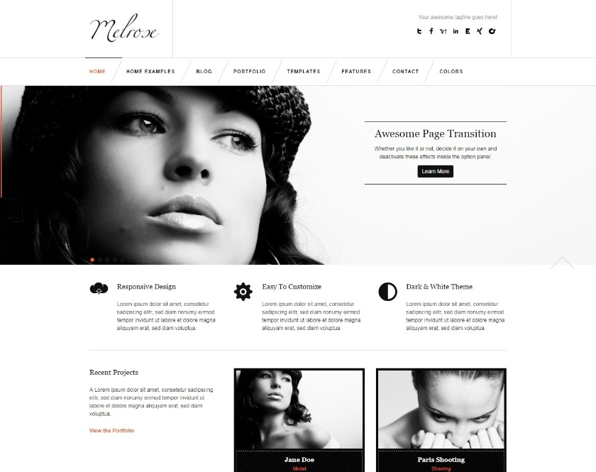 Melrose Portfolio WordPress Theme