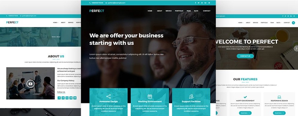perfect corporate wp theme