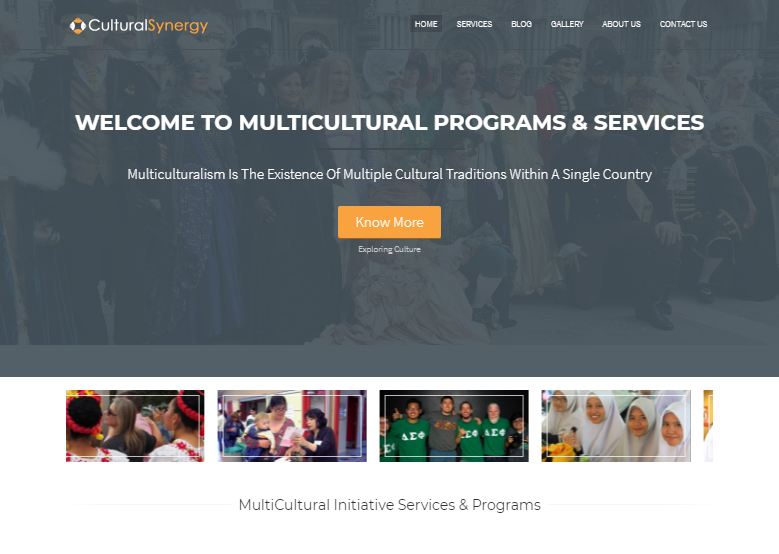 Cultural Synergy Multicultural Service WordPress Theme