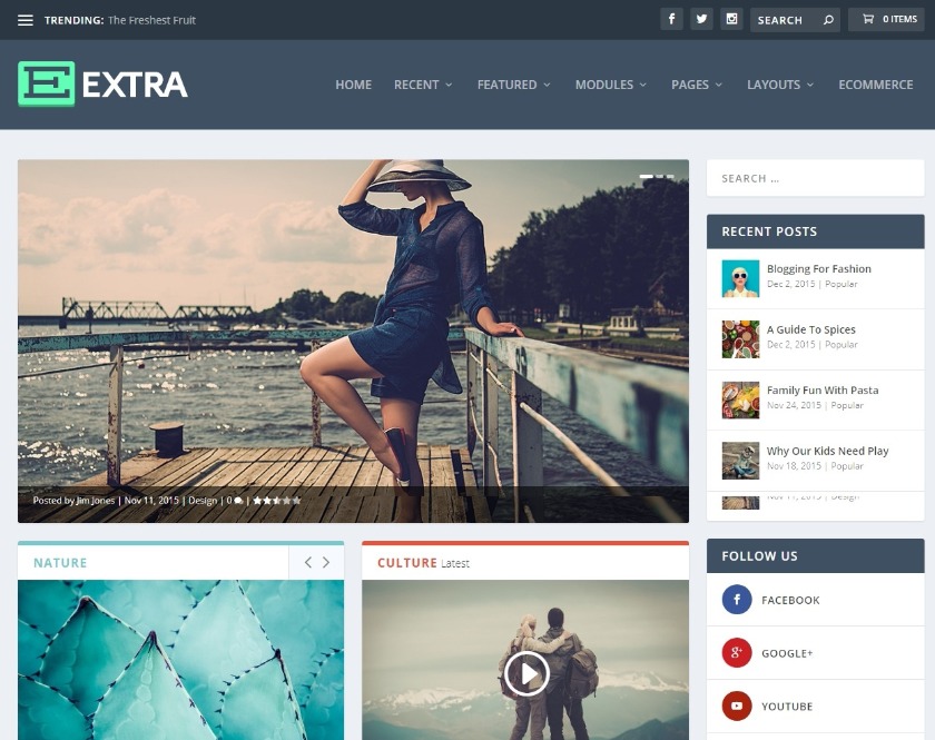 Extra The Ultimate Magazine WordPress Theme & Visual Page Builder