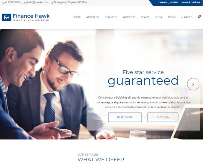 Finance Hawk Consulting Business WordPress Theme