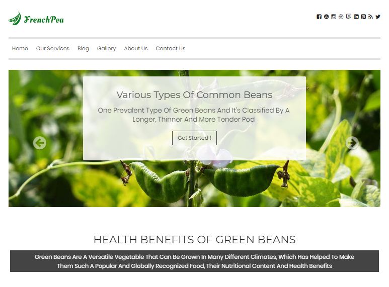 French Bean Green Bean Processing WordPress Theme