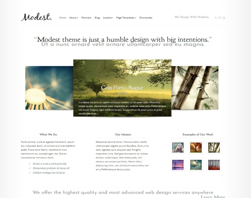 Modest WordPress Theme