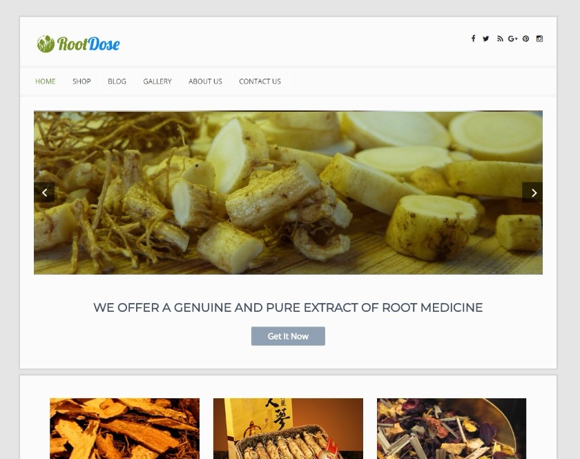 Root Dose Root Medicine Sale WordPress Theme