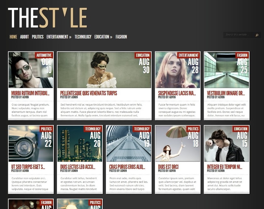 TheStyle WordPress Theme