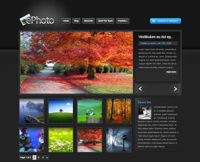 ePhoto WordPress Theme