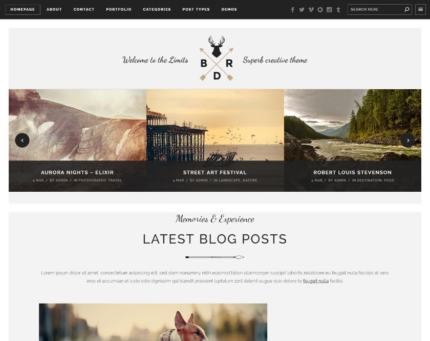 Borderland Multipurpose Powerful WordPress Theme