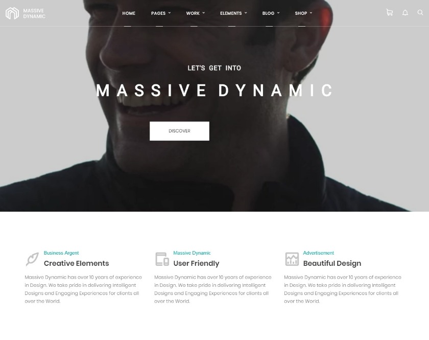 Massive Dynamic Website Builder WordPress Theme