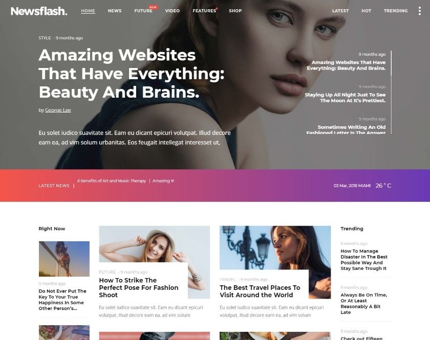 Newsflash News and Magazine WordPress Theme