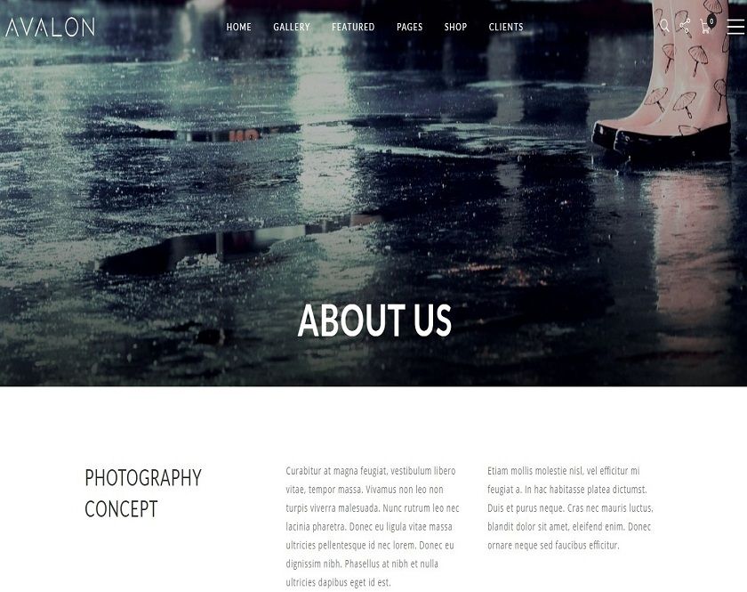 Avalon - Photography and Portfolio WordPress Theme for Photographers