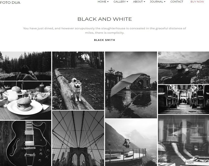 Foto - Photography WordPress Themes for Picture takers