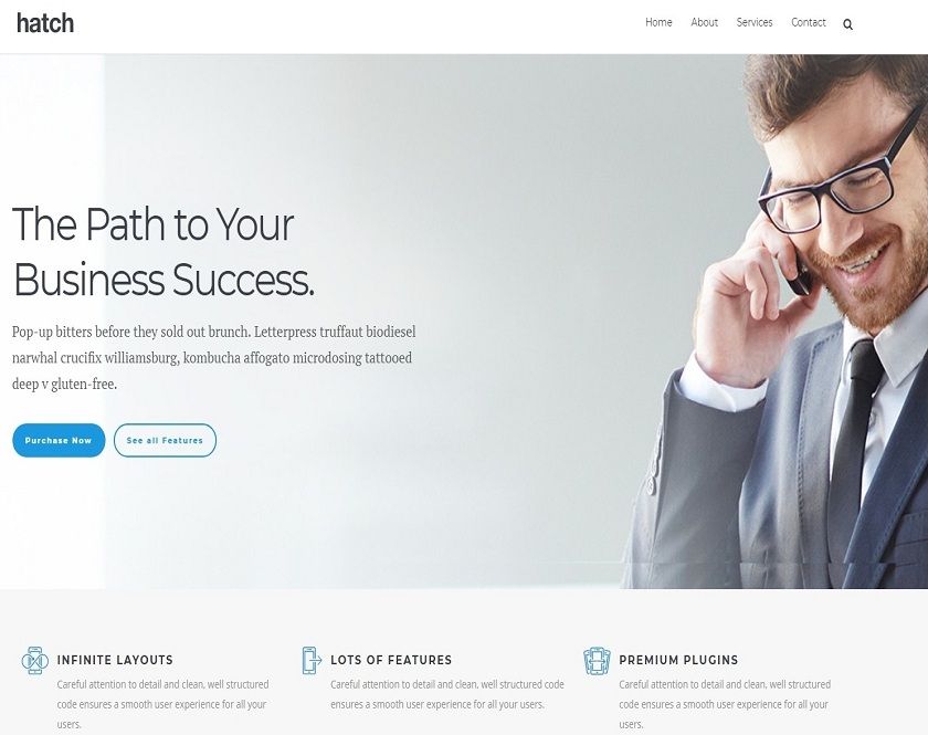 Hatch - WordPress theme for business and web-based business