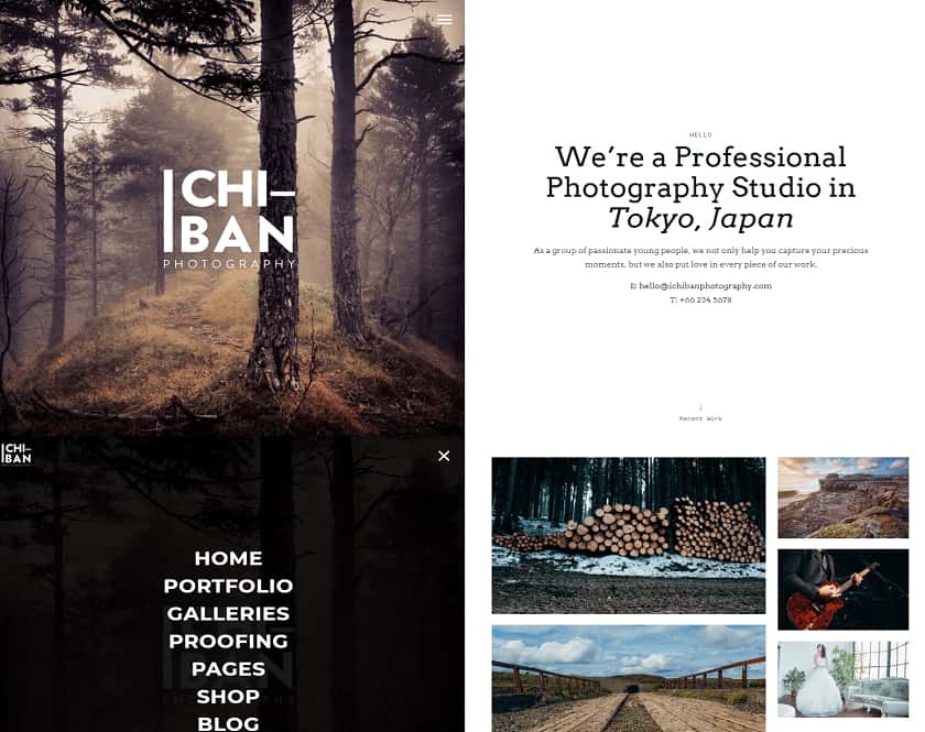 Ichiban - WordPress themes build particularly for proficient Photographers 