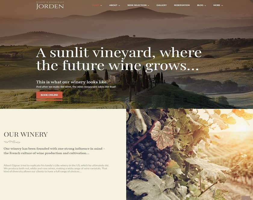 Jorden - Inventive Wine and Winery WordPress Theme