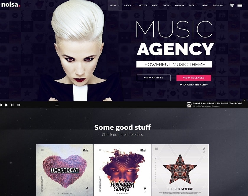 Noisa - Music Makers, Groups Music Organization, DJ and Occasions Theme for WordPress