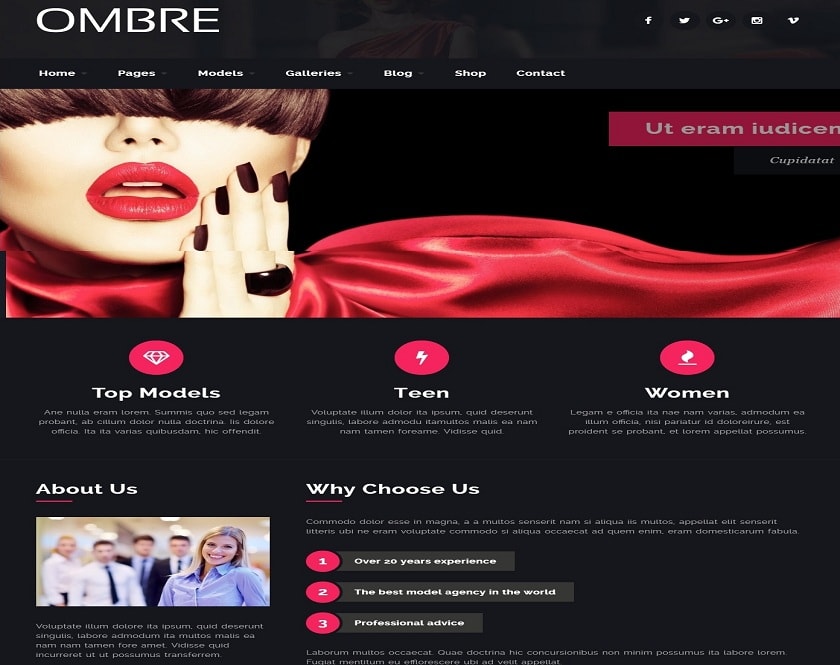 OMBRE - WordPress theme planned particularly for form and model offices