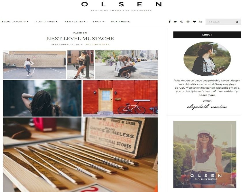 Olsen - Dazzling blogging WordPress theme
