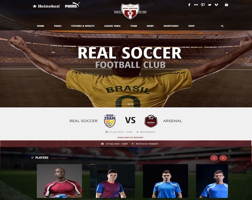 Real Soccer - Wordpress theme, particularly, for football, soccer, and game clubs