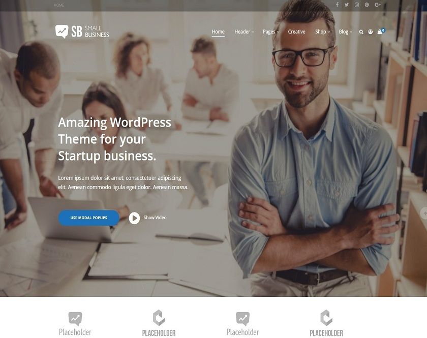 Small Business CD - Advanced Blog and Site WordPress Theme for Start-Up thoughts