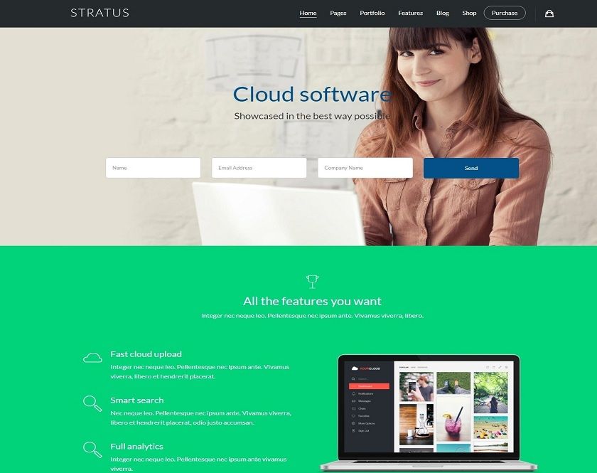 Stratus - WordPress theme, composed particularly for Application and SaaS organizations, New companies