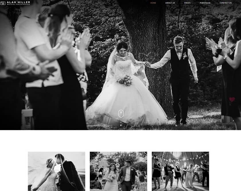 Vivagh - Selective wedding photography theme