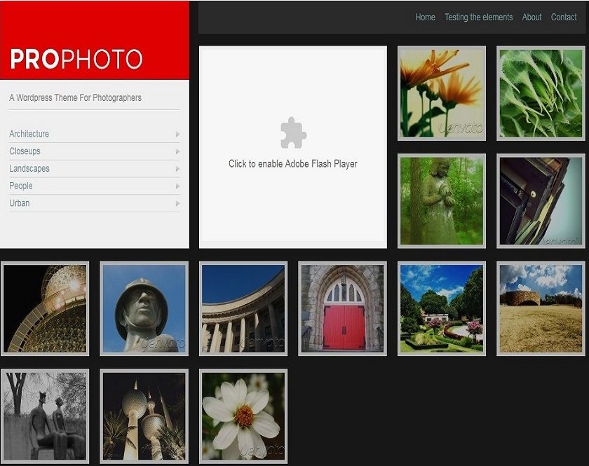 WP ProPhoto - Wordpress Theme for Photographers